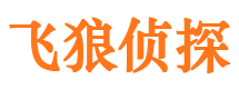 新源市侦探公司